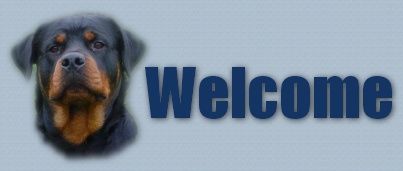 rottweiler2welcome.jpg